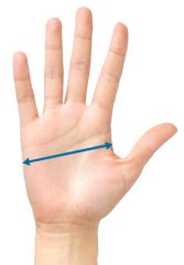 Ermittlung der Handschuhgröße